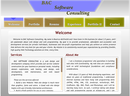 Flash Website of BAC Software Consulting.