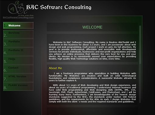 Dynamic Flash Website of BAC Software Consulting.